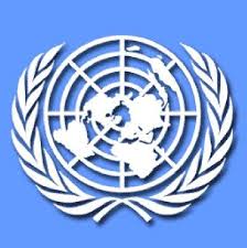 La ONU convocará a una reunión para analizar los alcances de la crisis