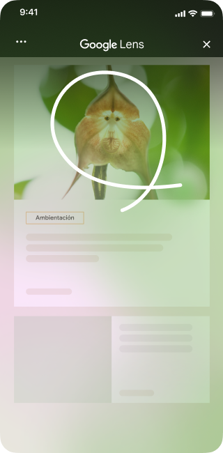 En un sitio de decoración del hogar con una imagen de una flor única, un usuario de iPhone abre las herramientas de la página y selecciona