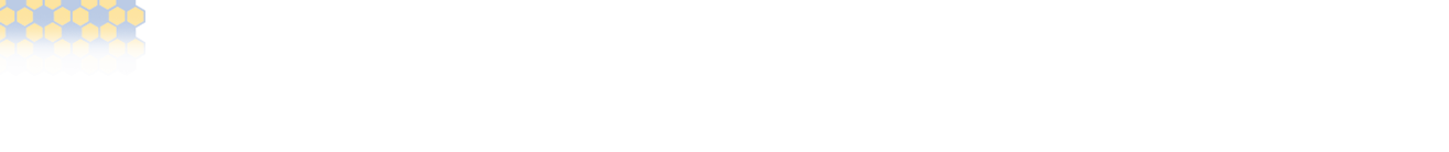 Celebrando a los campeones de la Copa del Mundo 2022: Argentina